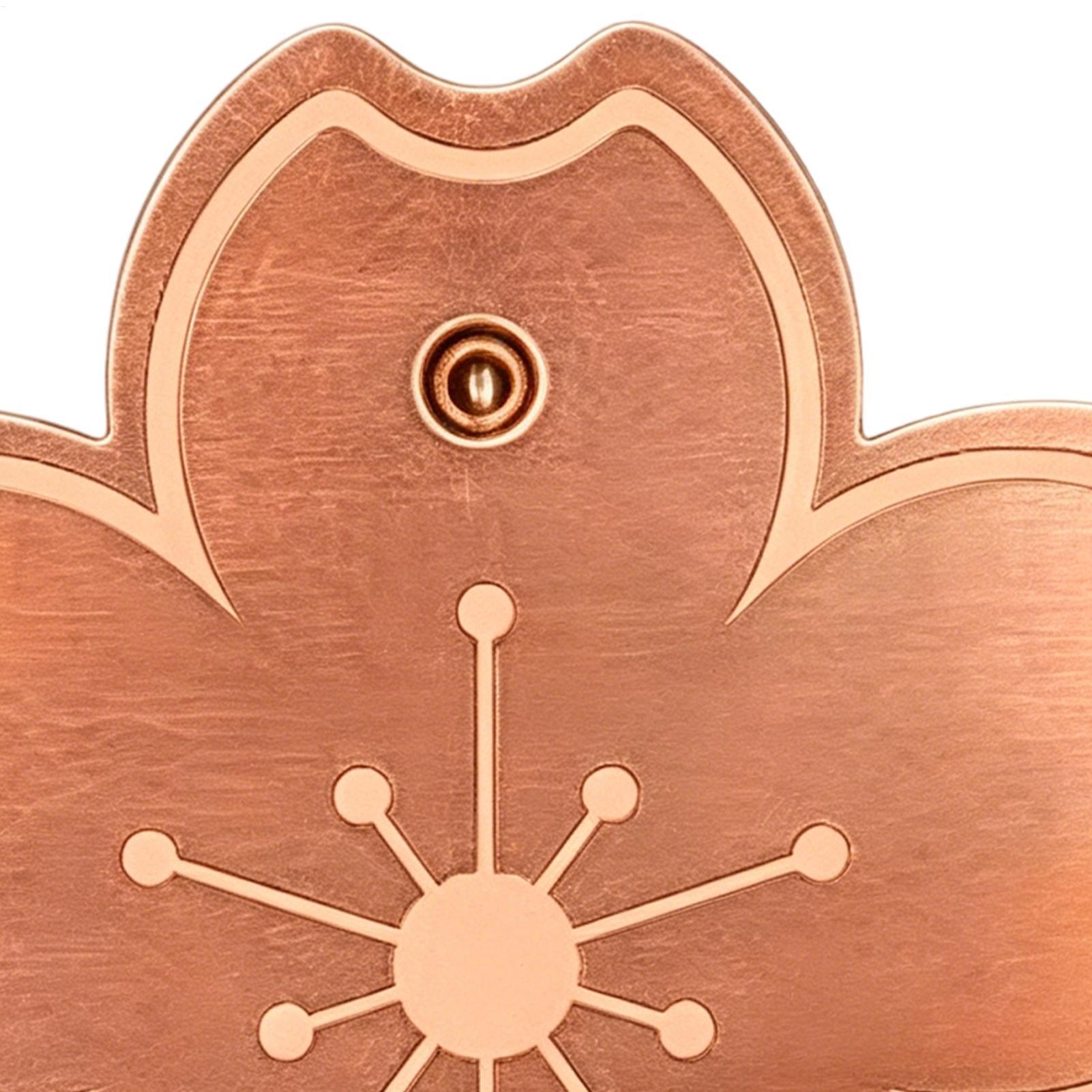 Watches & Jewelry Repair Center Photos - Placa de cobre purificadora segura para